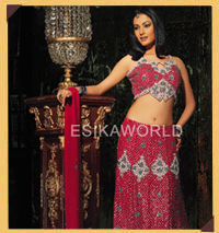 About India Sari Palace Inc