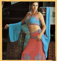 About India Sari Palace Inc