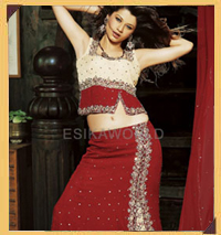 About India Sari Palace Inc